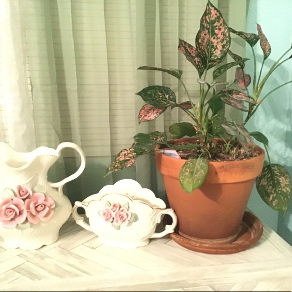 Vintage Porcelain Victorian Pitcher & Server - Picture 9 of 15